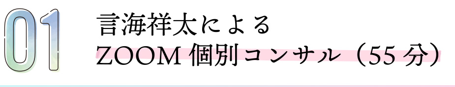 言海祥太によるZOOM個別コンサル（55分）